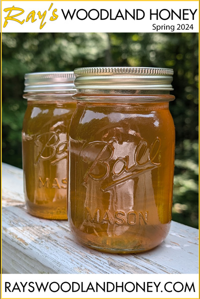 Rays Woodland Honey
